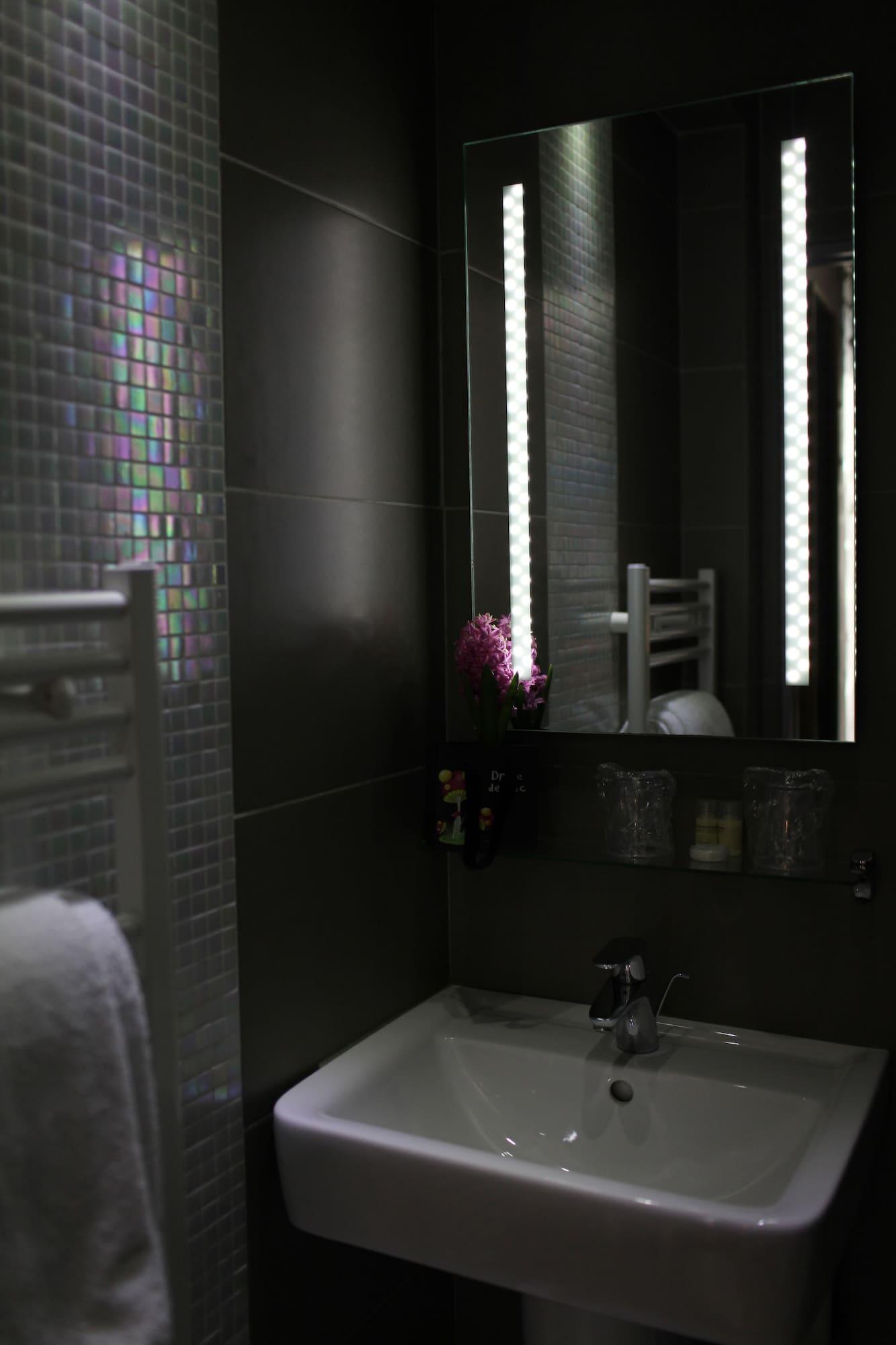 Alane Hotel Parijs